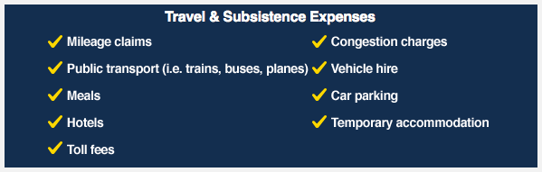 Travel and Subsistence Expenses 